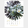 Krautkalender 2021