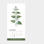 Krautkalender 2022