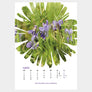Krautkalender 2021