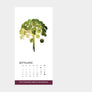 Krautkalender 2022