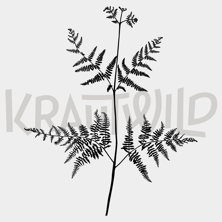 Krauthemd Adlerfarn BE