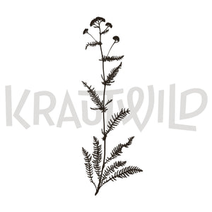 Krauttop Schafgarbe